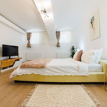Sabin Apartments Private Parking 브라쇼브 외부 사진