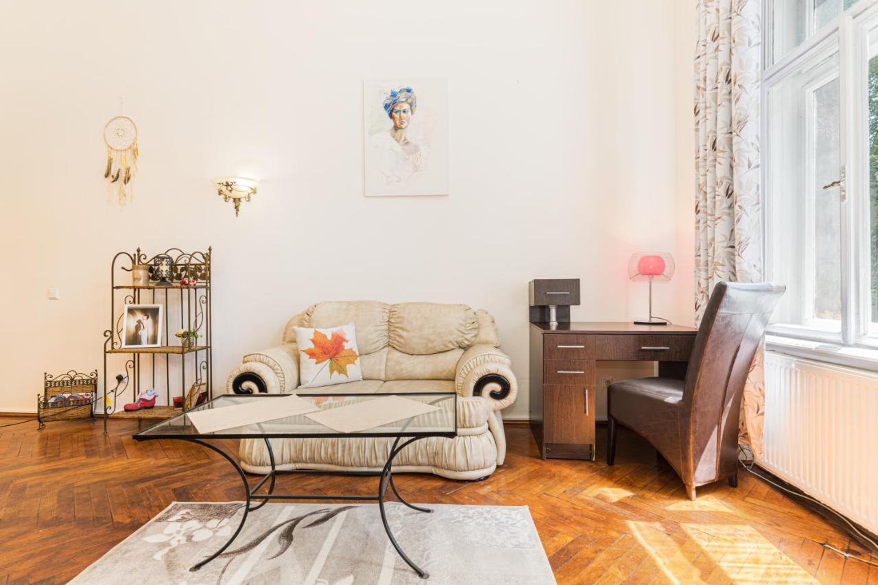 Sabin Apartments Private Parking 브라쇼브 외부 사진