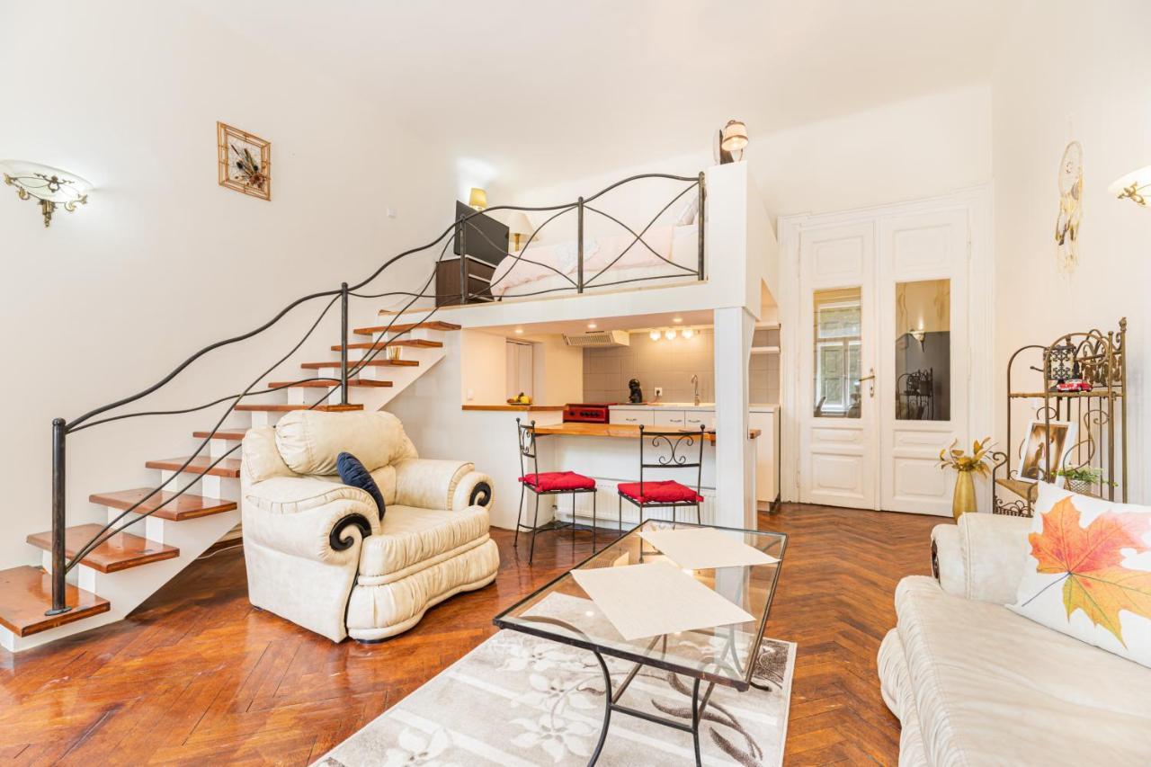 Sabin Apartments Private Parking 브라쇼브 외부 사진