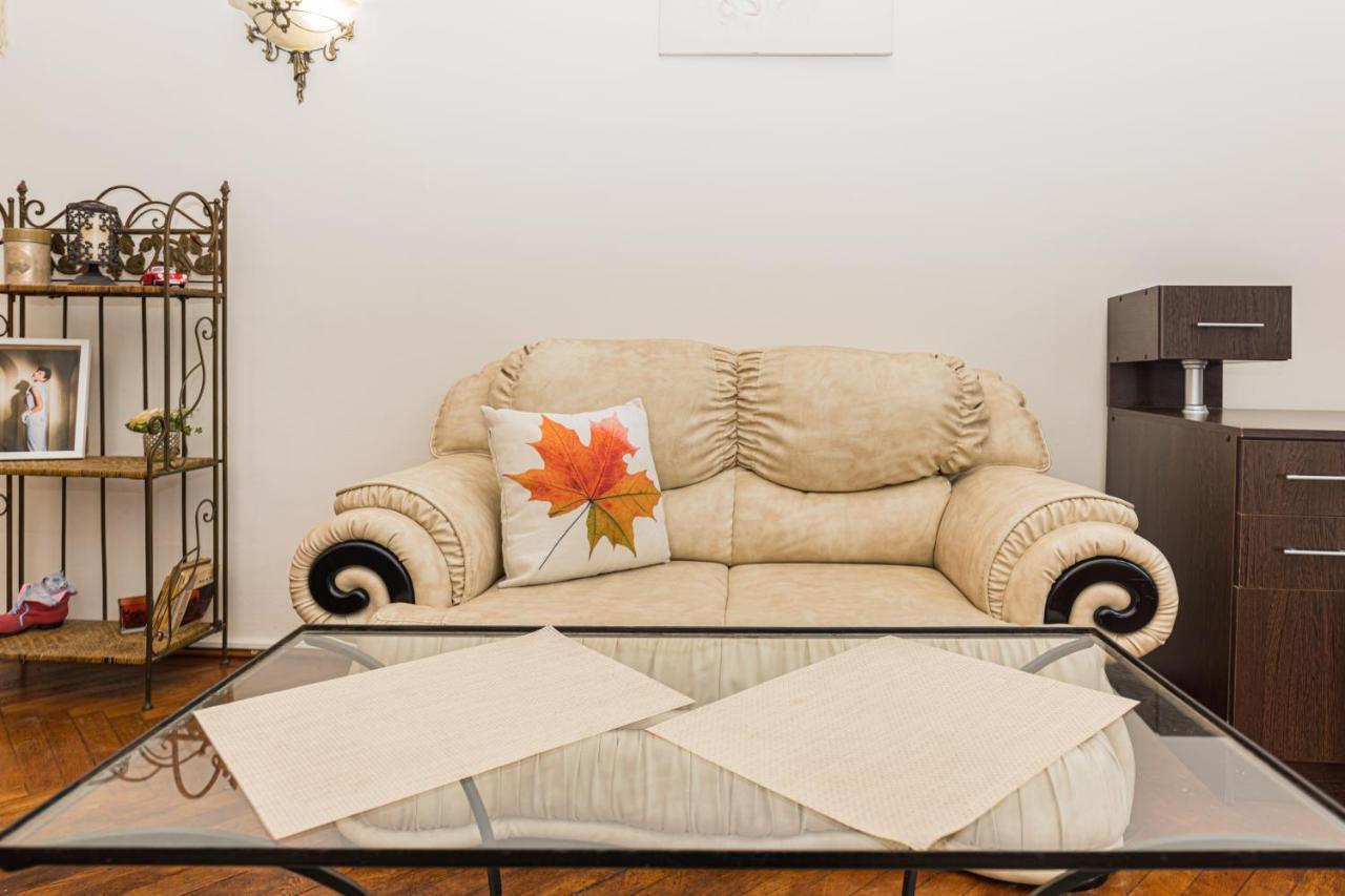 Sabin Apartments Private Parking 브라쇼브 외부 사진