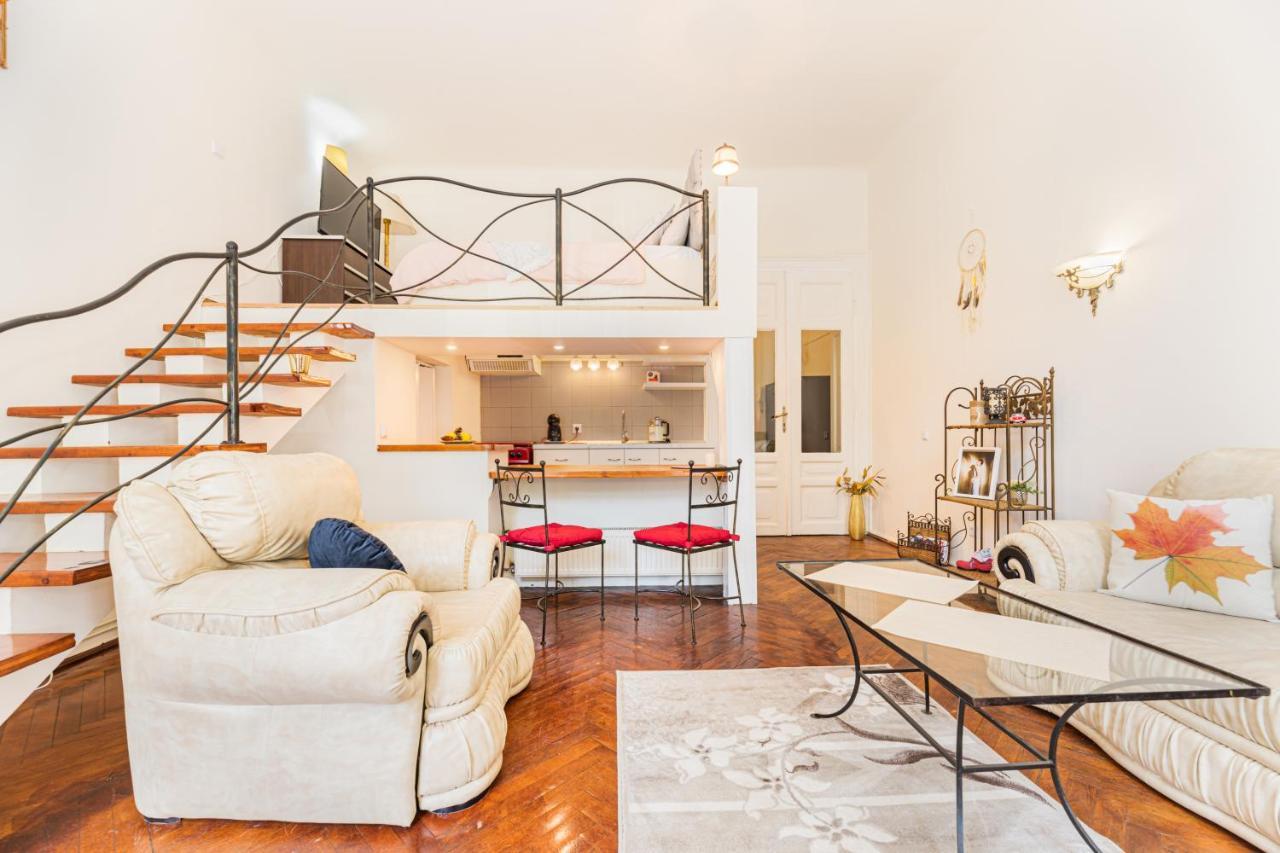 Sabin Apartments Private Parking 브라쇼브 외부 사진