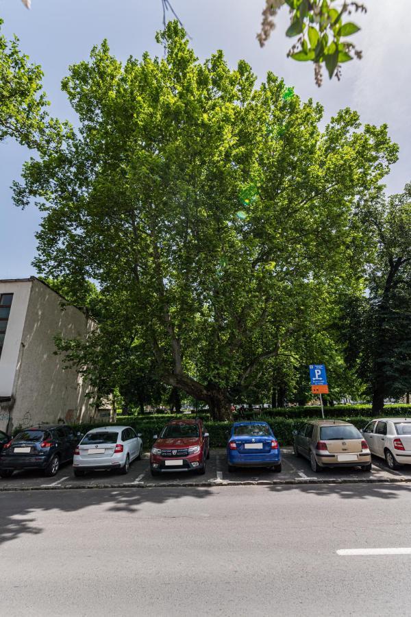 Sabin Apartments Private Parking 브라쇼브 외부 사진