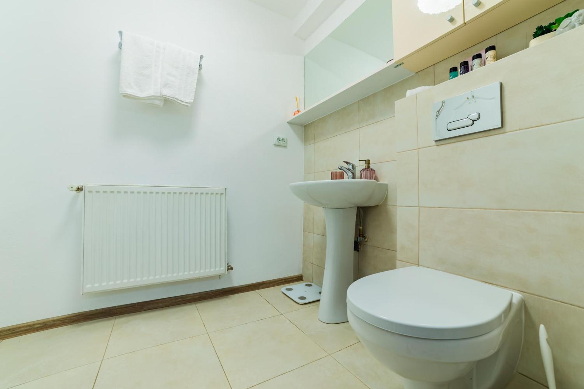 Sabin Apartments Private Parking 브라쇼브 외부 사진