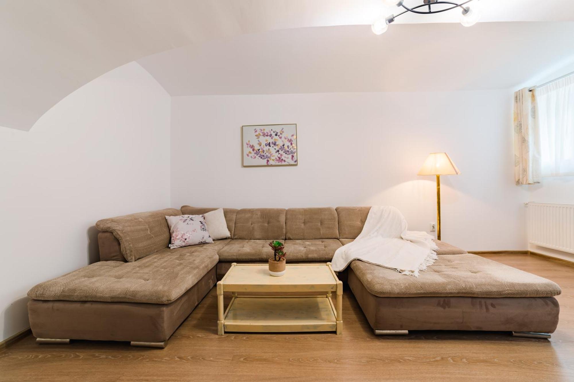 Sabin Apartments Private Parking 브라쇼브 외부 사진