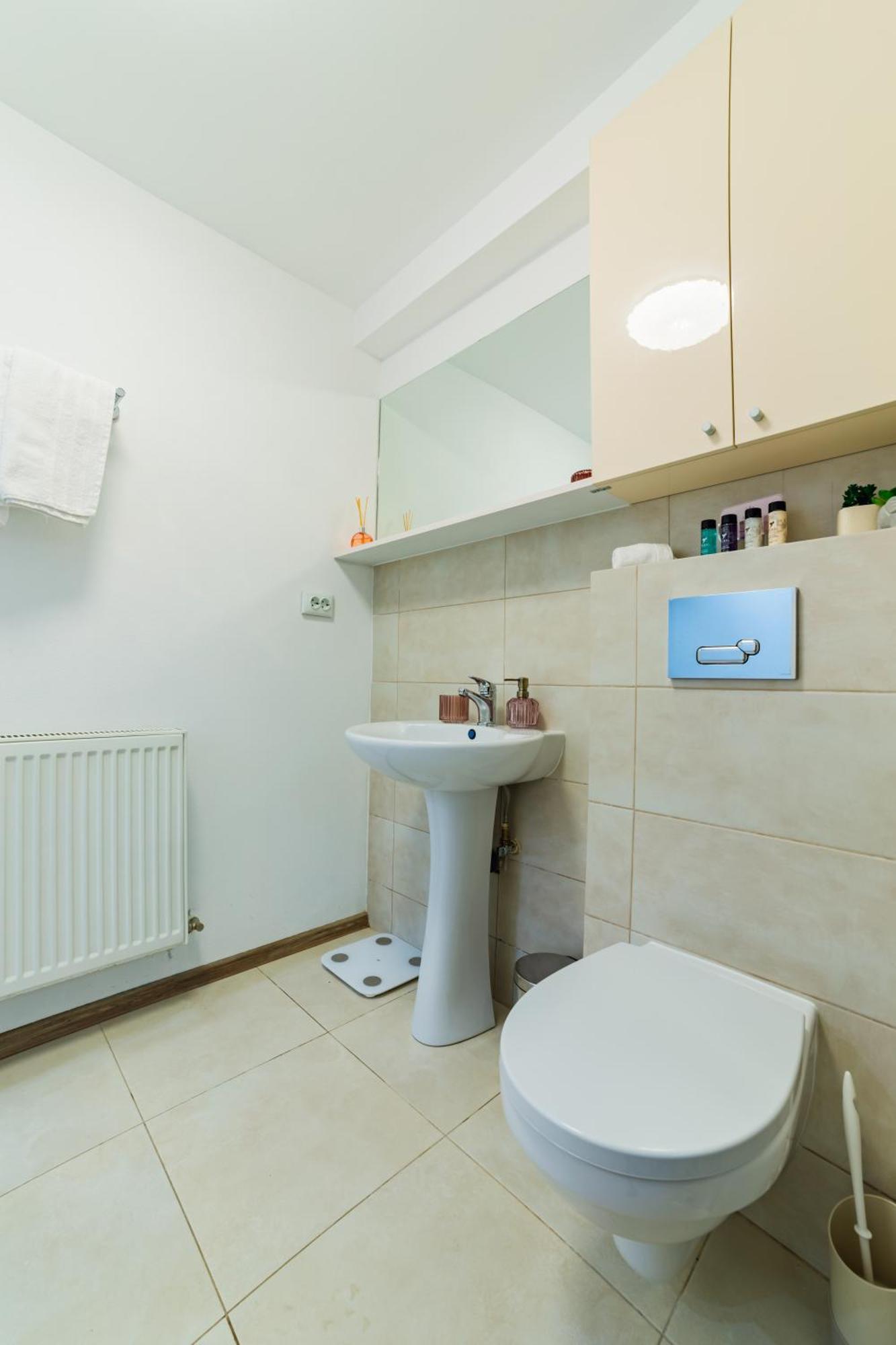 Sabin Apartments Private Parking 브라쇼브 외부 사진
