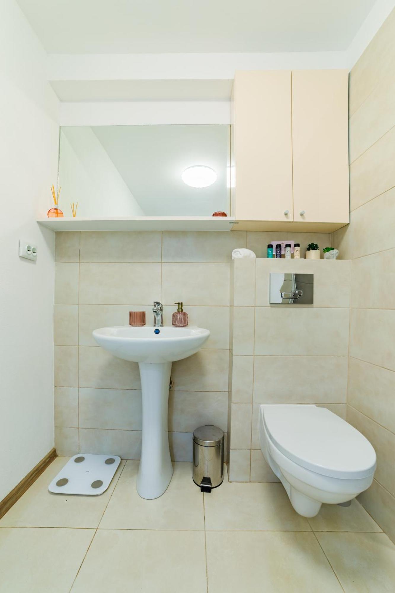 Sabin Apartments Private Parking 브라쇼브 외부 사진