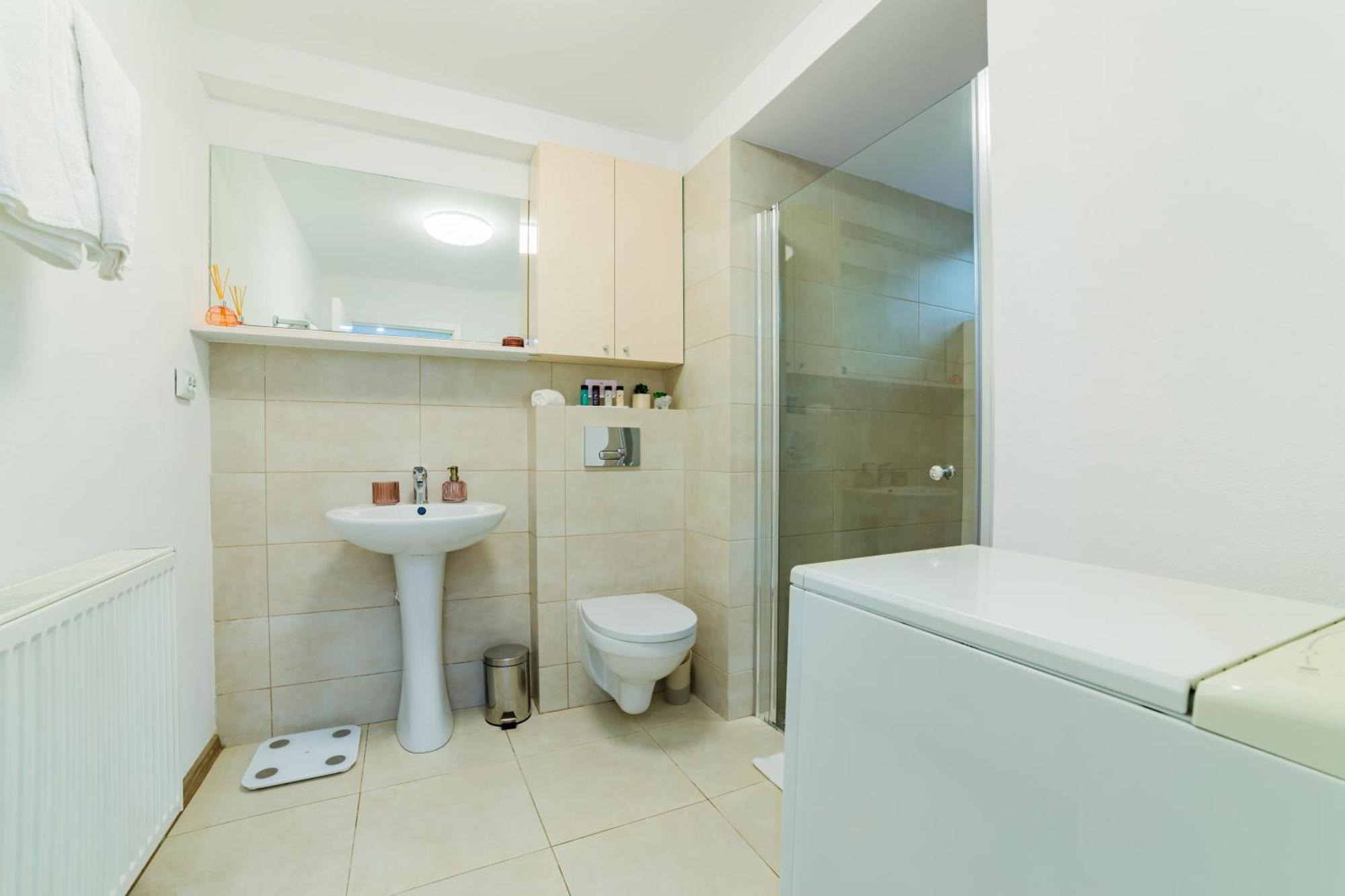 Sabin Apartments Private Parking 브라쇼브 외부 사진