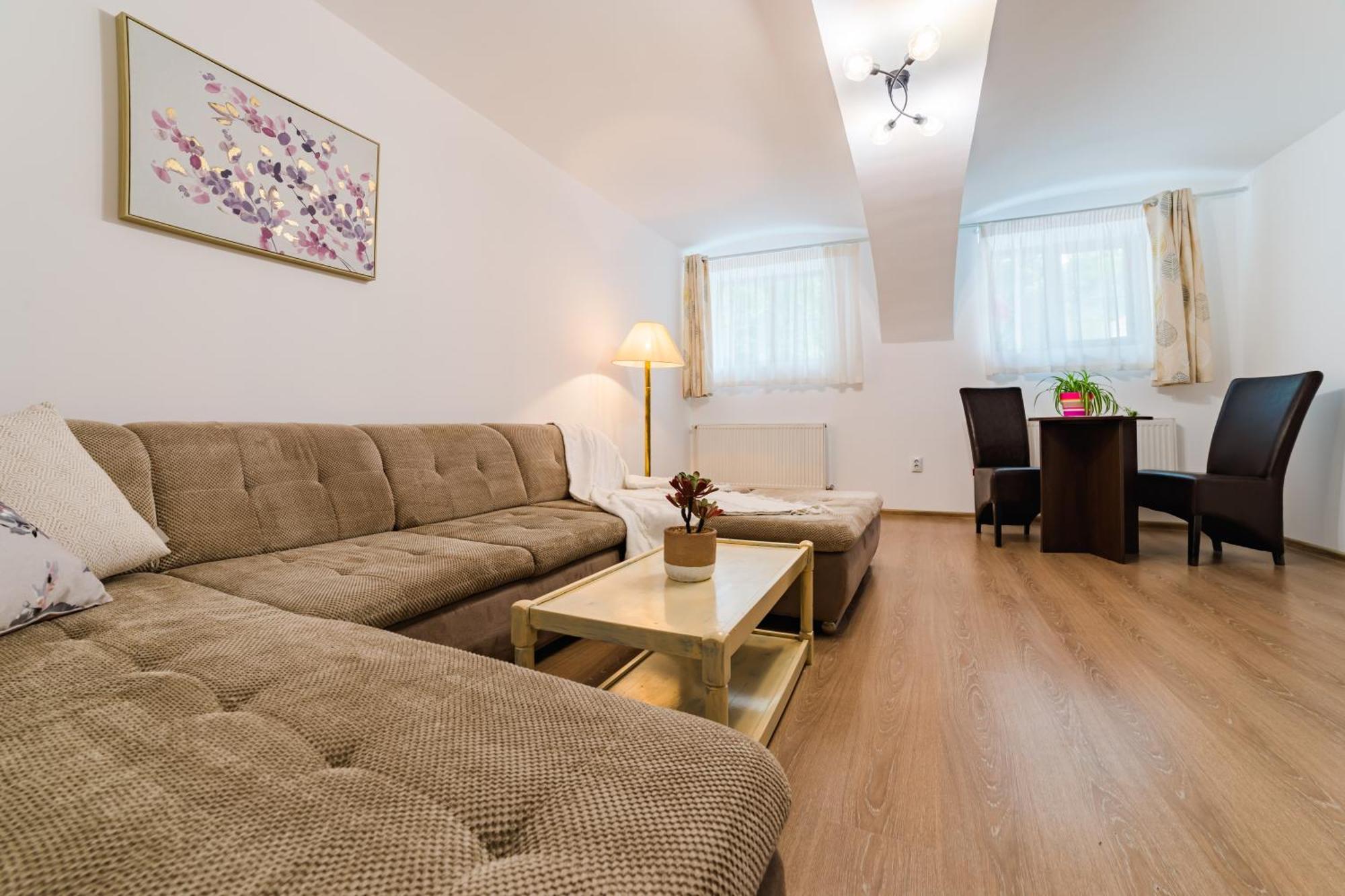 Sabin Apartments Private Parking 브라쇼브 외부 사진